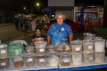 Foto - Feira do Empreendedor Lupércio - 23/11/24