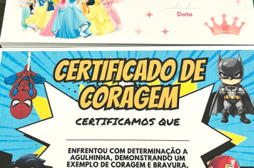 Foto - Campanha de Vacinação • Dia D
