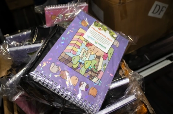 Foto - Natal Iluminado Santa Terezinha 2025