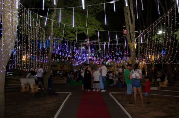 Foto - Natal Iluminado 2024 • Lupércio